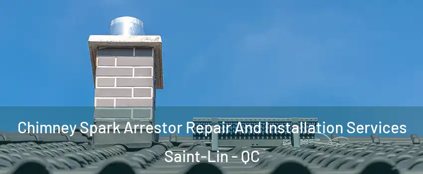  Chimney Spark Arrestor Repair And Installation Services Saint-Lin - QC
