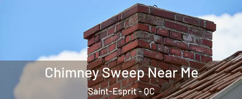  Chimney Sweep Near Me Saint-Esprit - QC