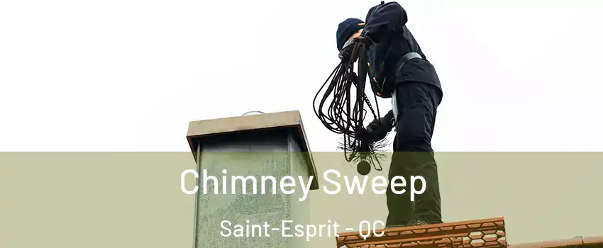  Chimney Sweep Saint-Esprit - QC