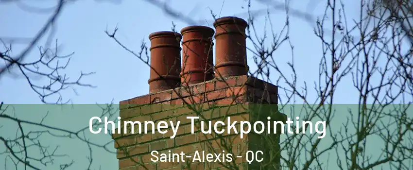  Chimney Tuckpointing Saint-Alexis - QC