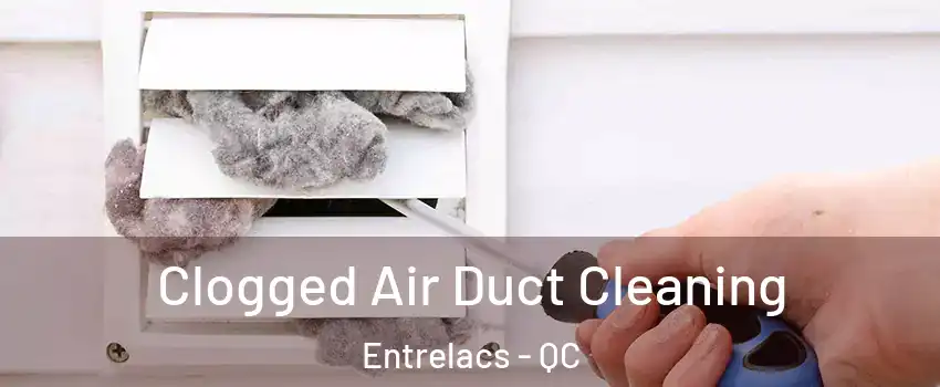  Clogged Air Duct Cleaning Entrelacs - QC