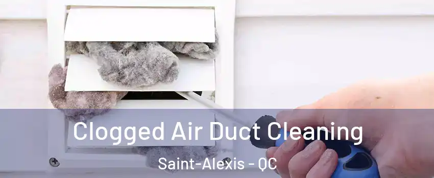  Clogged Air Duct Cleaning Saint-Alexis - QC