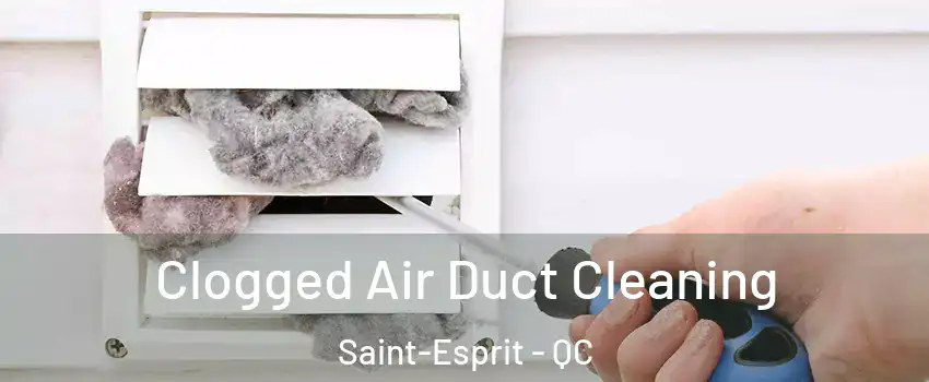  Clogged Air Duct Cleaning Saint-Esprit - QC