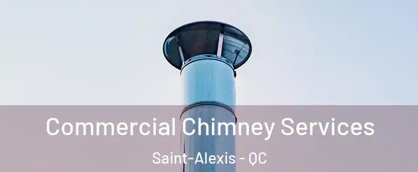  Commercial Chimney Services Saint-Alexis - QC