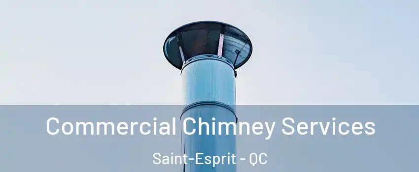  Commercial Chimney Services Saint-Esprit - QC