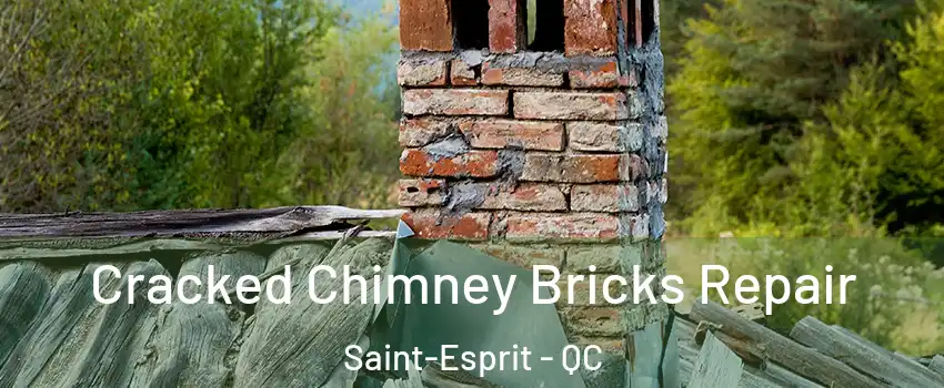 Cracked Chimney Bricks Repair Saint-Esprit - QC