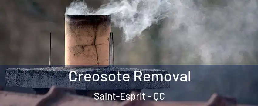  Creosote Removal Saint-Esprit - QC