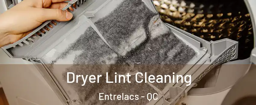  Dryer Lint Cleaning Entrelacs - QC