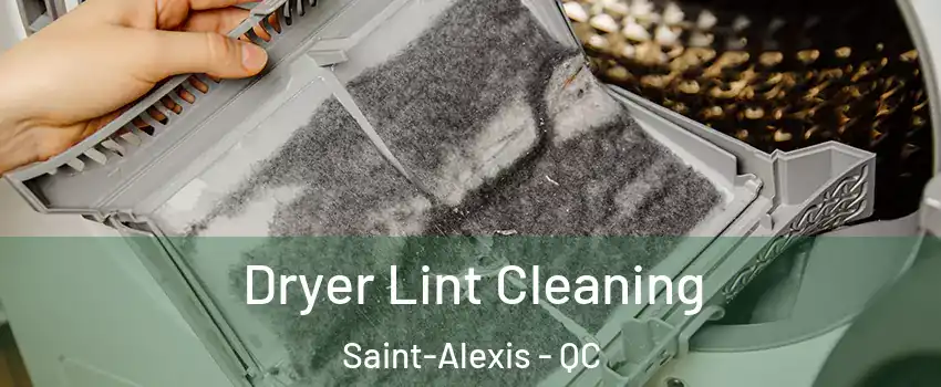  Dryer Lint Cleaning Saint-Alexis - QC