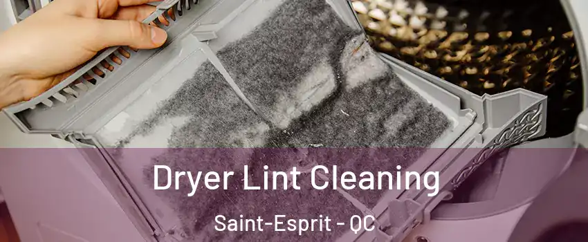  Dryer Lint Cleaning Saint-Esprit - QC