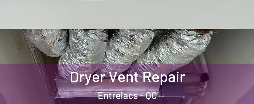  Dryer Vent Repair Entrelacs - QC