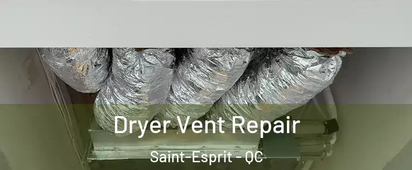  Dryer Vent Repair Saint-Esprit - QC