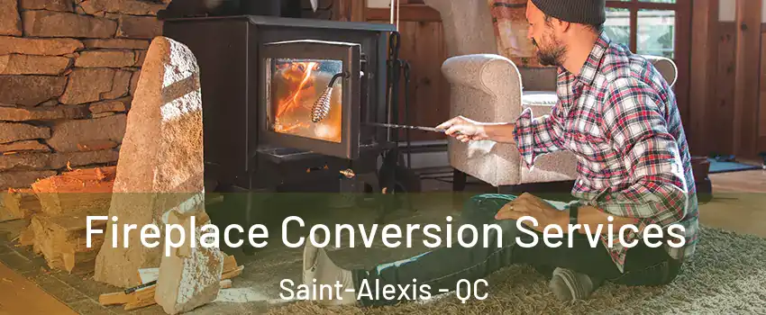  Fireplace Conversion Services Saint-Alexis - QC