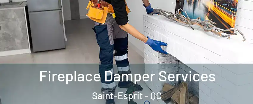  Fireplace Damper Services Saint-Esprit - QC