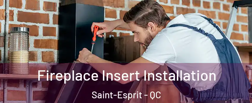  Fireplace Insert Installation Saint-Esprit - QC