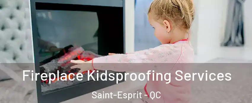  Fireplace Kidsproofing Services Saint-Esprit - QC