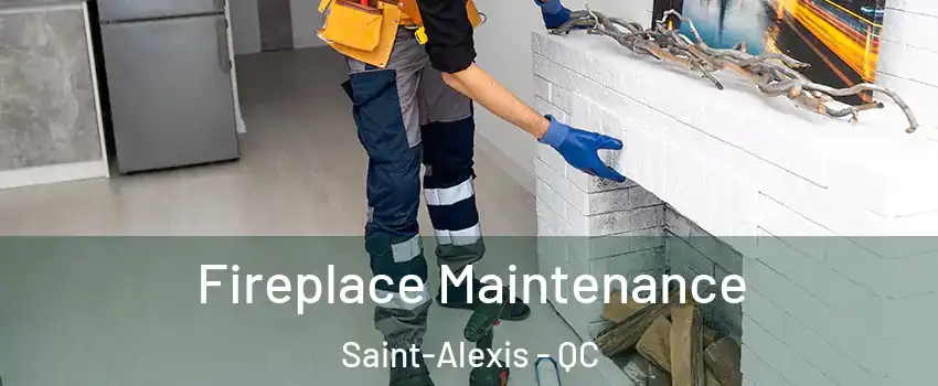  Fireplace Maintenance Saint-Alexis - QC