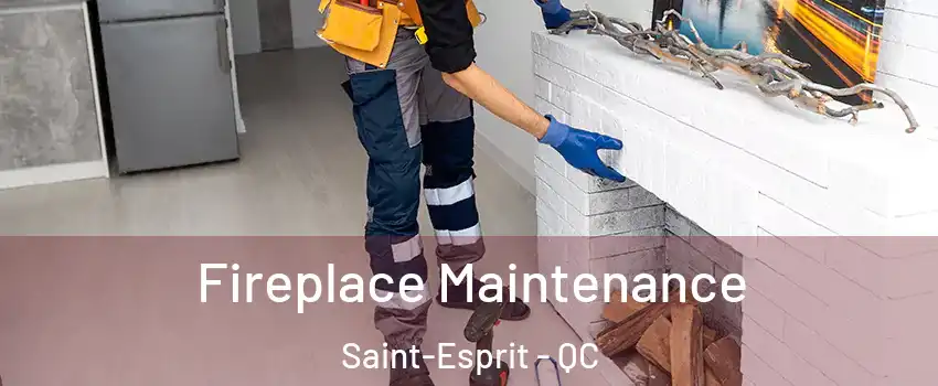  Fireplace Maintenance Saint-Esprit - QC