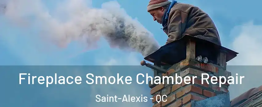  Fireplace Smoke Chamber Repair Saint-Alexis - QC