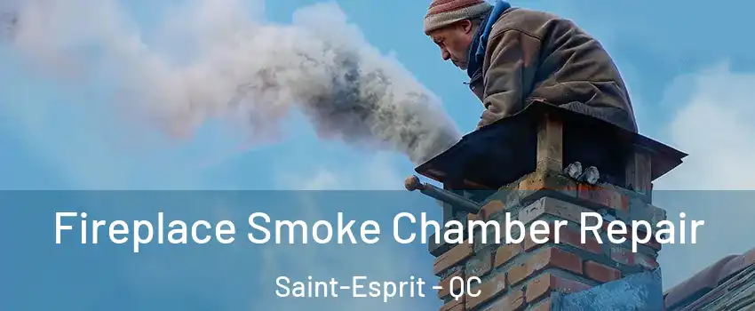  Fireplace Smoke Chamber Repair Saint-Esprit - QC