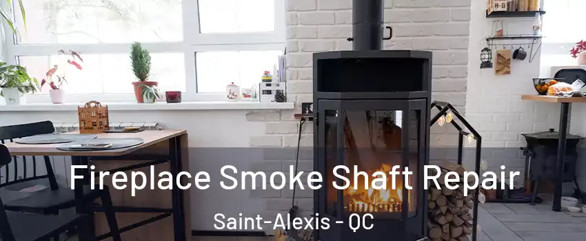  Fireplace Smoke Shaft Repair Saint-Alexis - QC