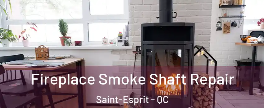  Fireplace Smoke Shaft Repair Saint-Esprit - QC