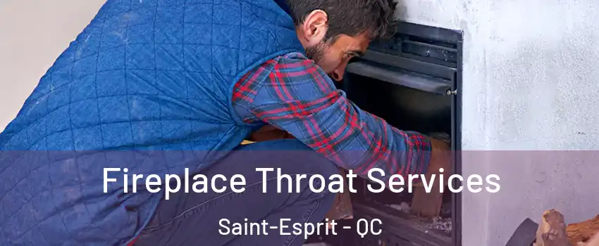  Fireplace Throat Services Saint-Esprit - QC