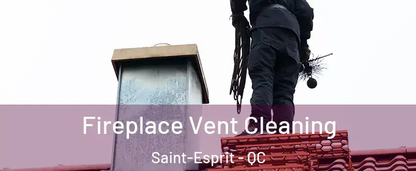  Fireplace Vent Cleaning Saint-Esprit - QC
