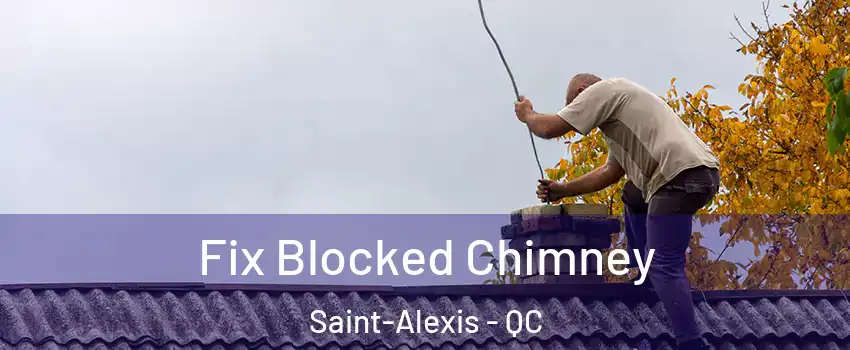  Fix Blocked Chimney Saint-Alexis - QC