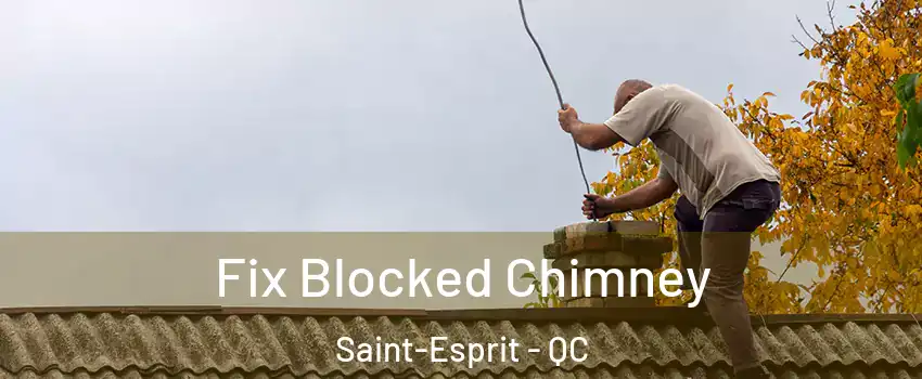  Fix Blocked Chimney Saint-Esprit - QC