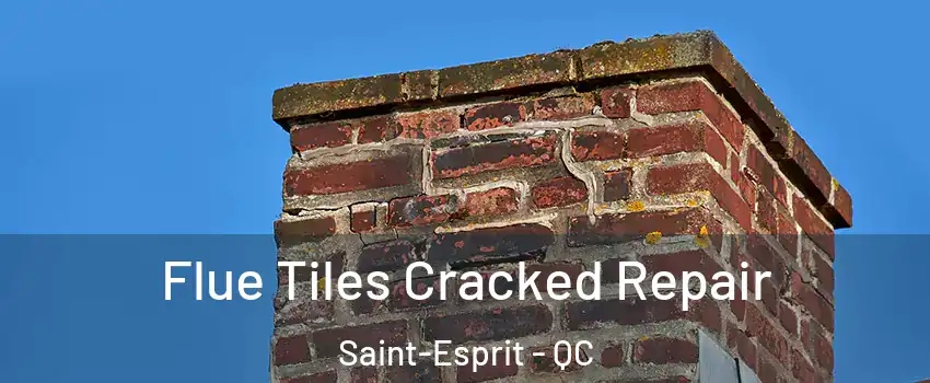  Flue Tiles Cracked Repair Saint-Esprit - QC