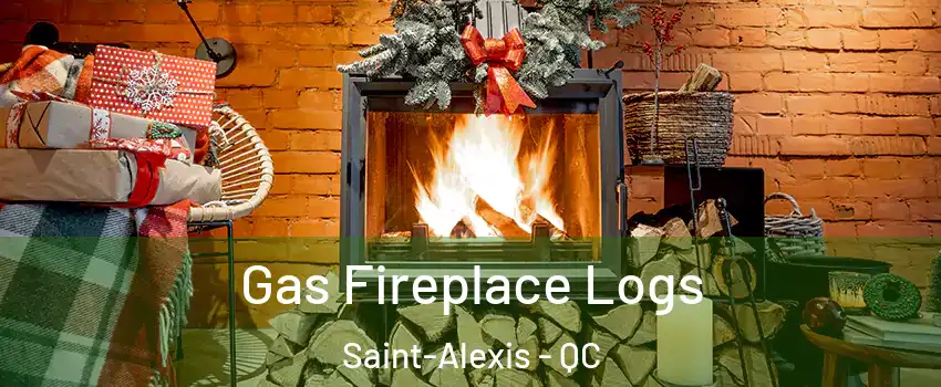  Gas Fireplace Logs Saint-Alexis - QC