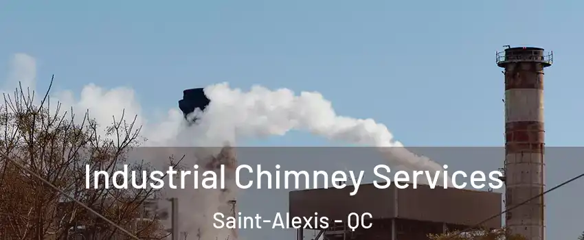  Industrial Chimney Services Saint-Alexis - QC