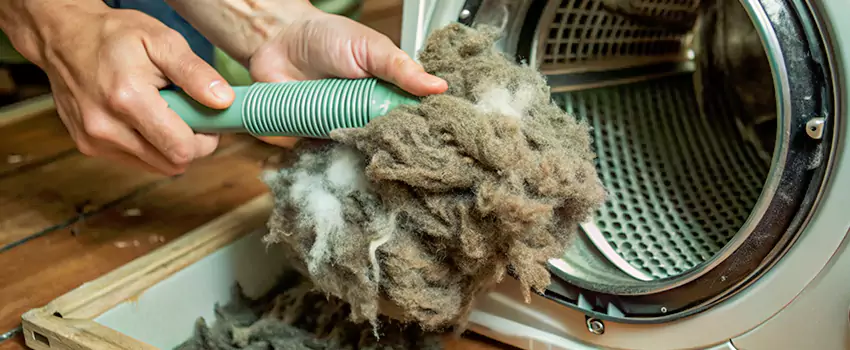 Best Dryer Lint Removal Company in Saint Lin Laurentides, Quebec