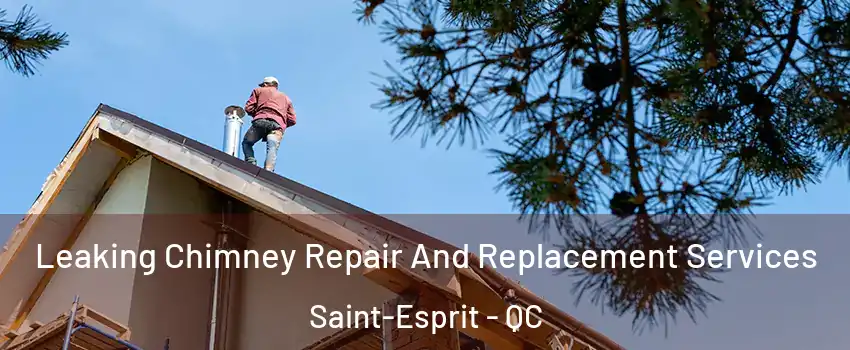  Leaking Chimney Repair And Replacement Services Saint-Esprit - QC