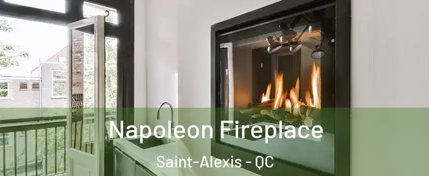  Napoleon Fireplace Saint-Alexis - QC