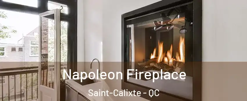  Napoleon Fireplace Saint-Calixte - QC