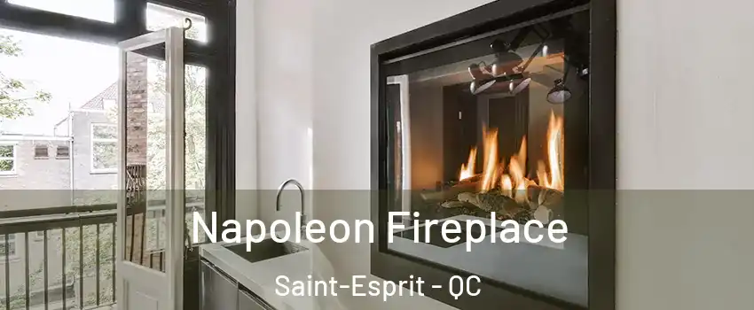  Napoleon Fireplace Saint-Esprit - QC