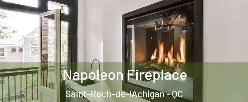  Napoleon Fireplace Saint-Roch-de-lAchigan - QC