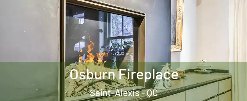  Osburn Fireplace Saint-Alexis - QC