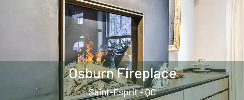  Osburn Fireplace Saint-Esprit - QC