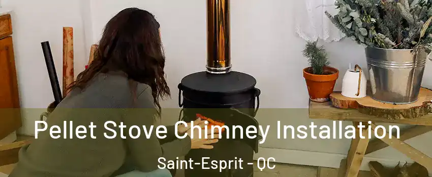  Pellet Stove Chimney Installation Saint-Esprit - QC