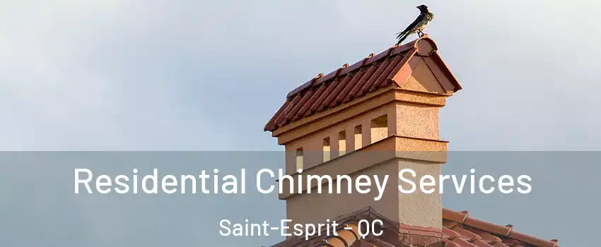  Residential Chimney Services Saint-Esprit - QC