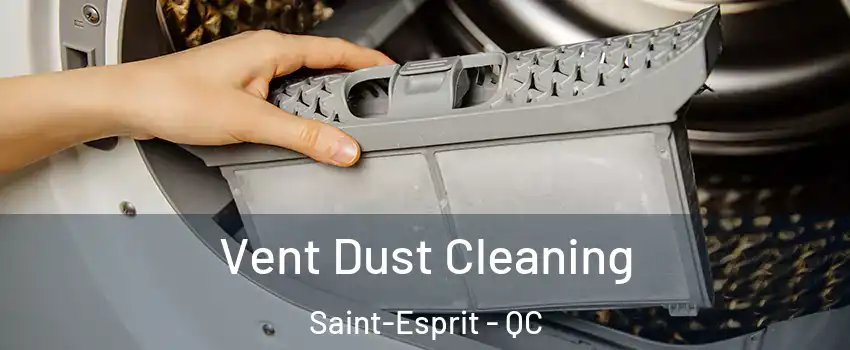  Vent Dust Cleaning Saint-Esprit - QC
