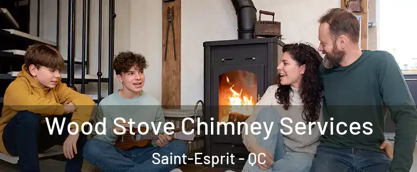  Wood Stove Chimney Services Saint-Esprit - QC
