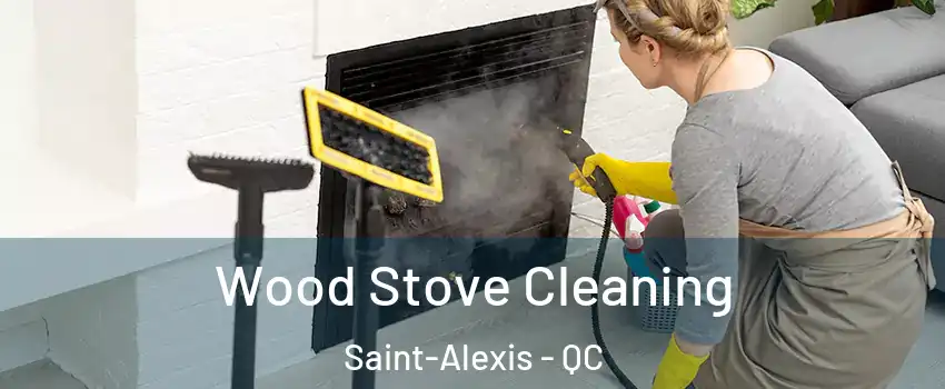  Wood Stove Cleaning Saint-Alexis - QC