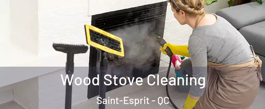  Wood Stove Cleaning Saint-Esprit - QC